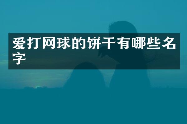 爱打网球的饼干有哪些名字