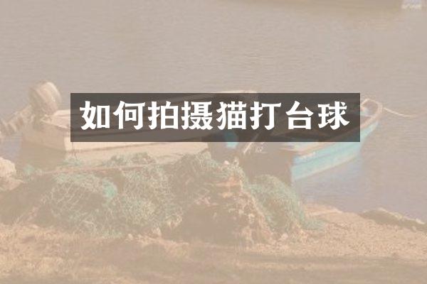 如何拍摄猫打台球