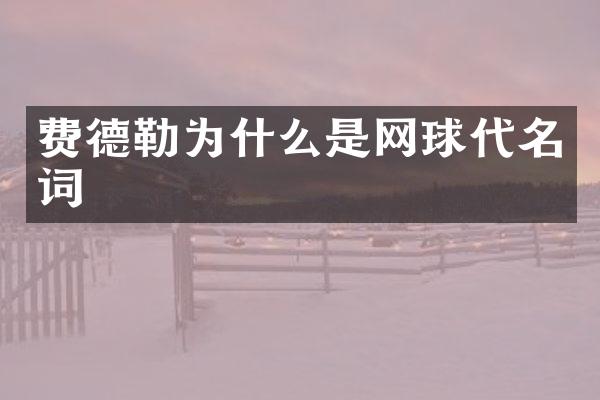 费德勒为什么是网球代名词