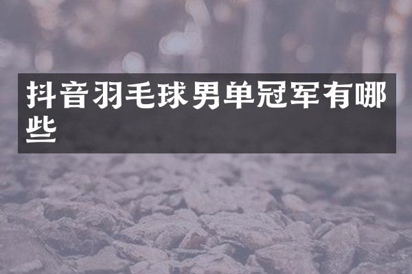 抖音羽毛球男单冠军有哪些