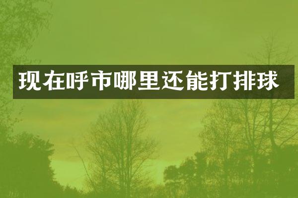 现在呼市哪里还能打排球