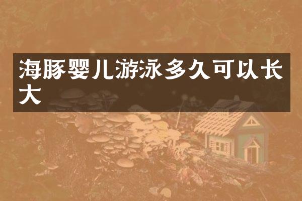 海豚婴儿游泳多久可以长大