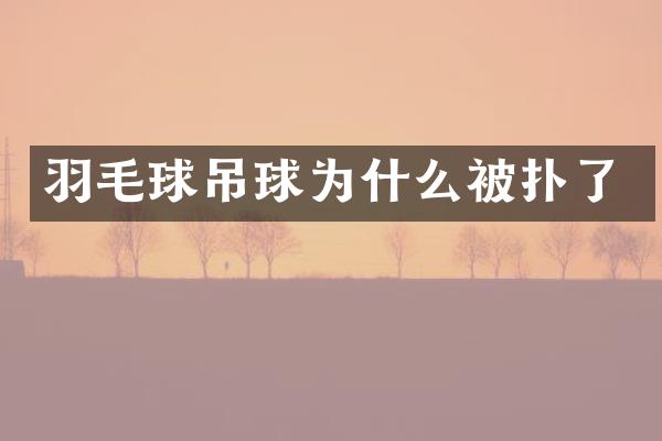 羽毛球吊球为什么被扑了