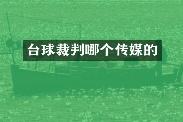 台球裁判哪个传媒的