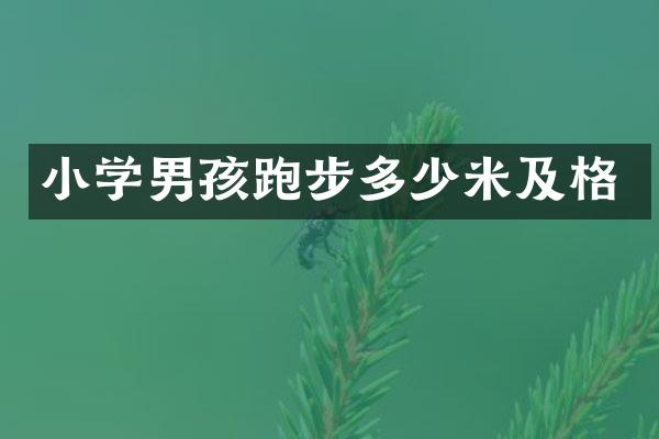 小学男孩跑步多少米及格