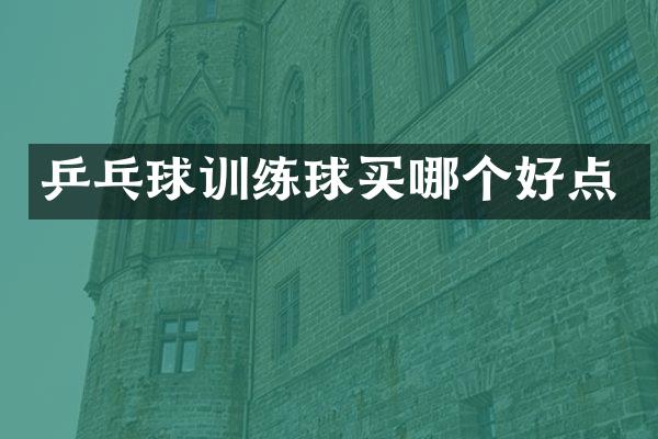 乒乓球训练球买哪个好点