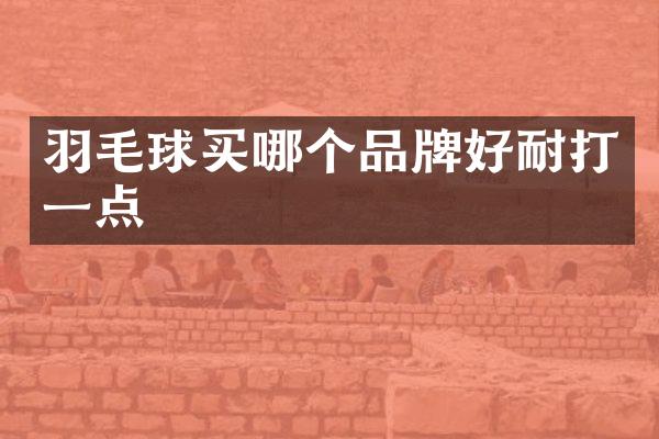 羽毛球买哪个品牌好耐打一点