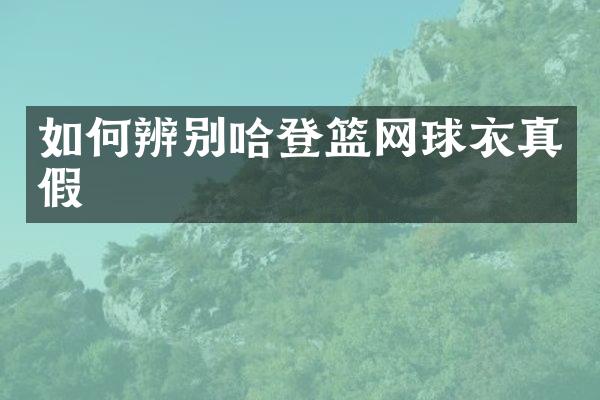如何辨别哈登篮网球衣真假