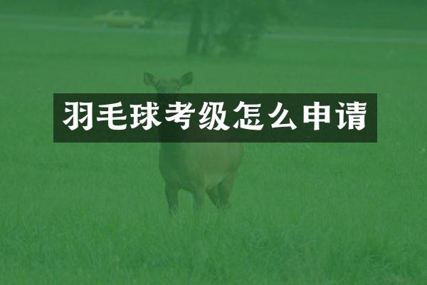 羽毛球考级怎么申请