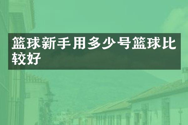 篮球新手用多少号篮球比较好