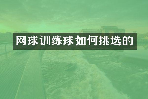 网球训练球如何挑选的