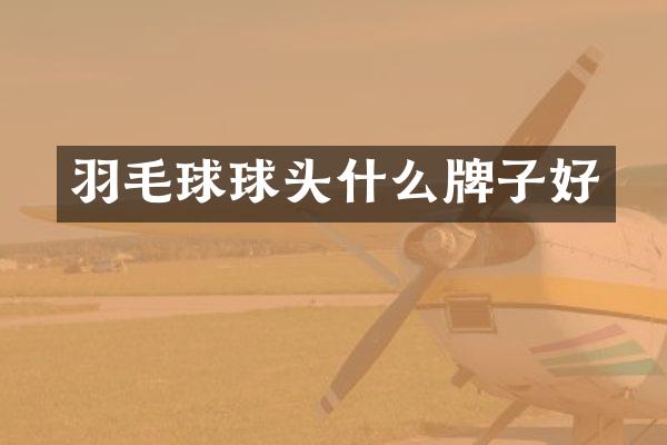 羽毛球球头什么牌子好