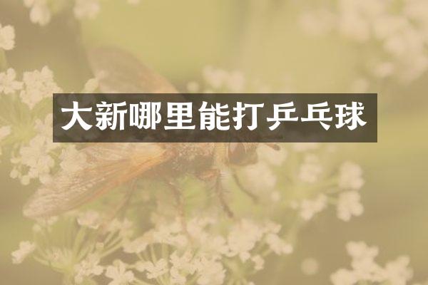 大新哪里能打乒乓球