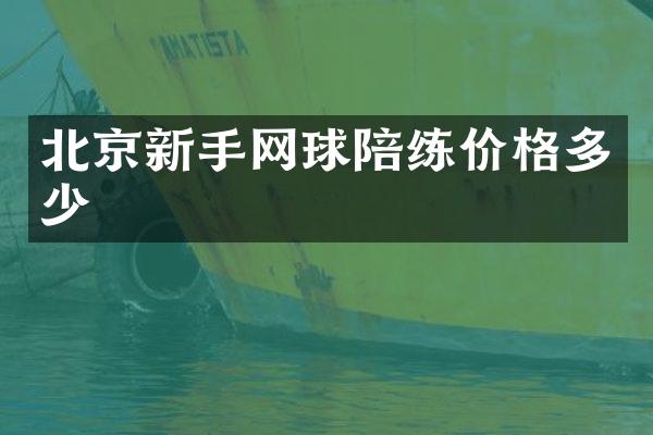 北京新手网球陪练价格多少
