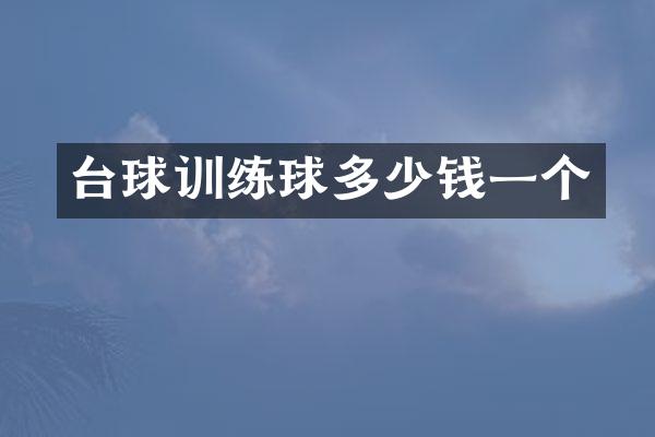 台球训练球多少钱一个
