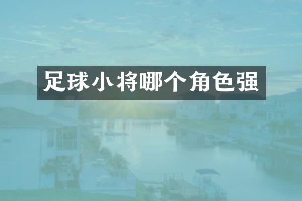足球小将哪个角色强