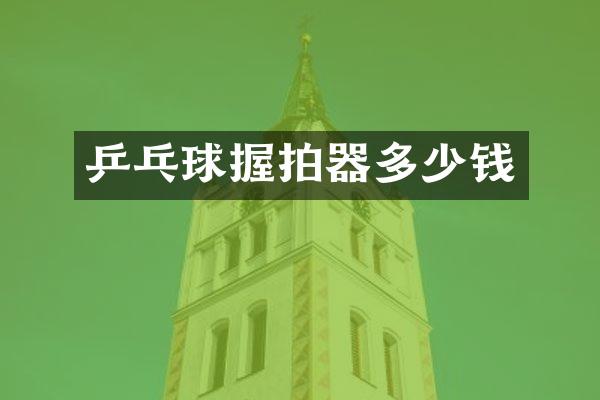 乒乓球握拍器多少钱