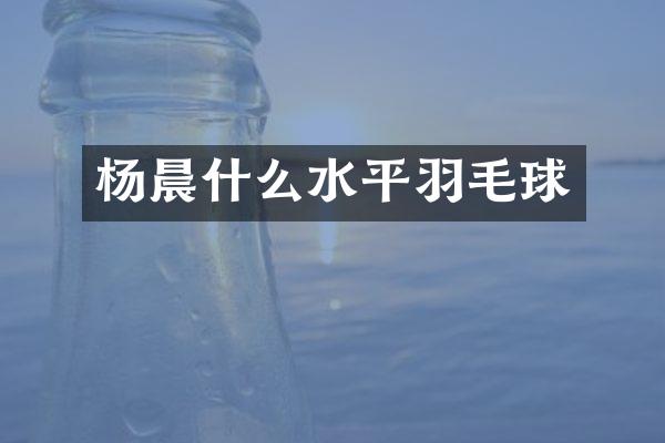 杨晨什么水平羽毛球