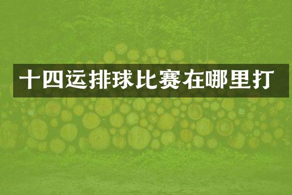 十四运排球比赛在哪里打