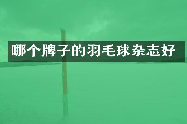 哪个牌子的羽毛球杂志好