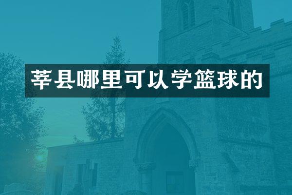 莘县哪里可以学篮球的