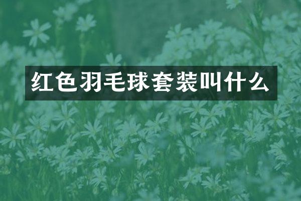 红色羽毛球套装叫什么