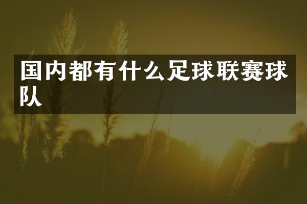 国内都有什么足球联赛球队