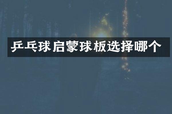 乒乓球启蒙球板选择哪个