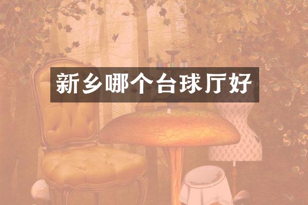 新乡哪个台球厅好