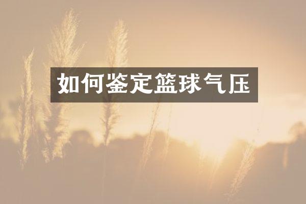 如何鉴定篮球气压