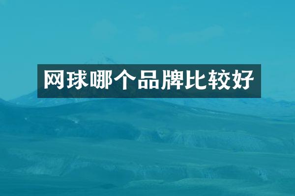 网球哪个品牌比较好