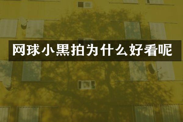 网球小黑拍为什么好看呢