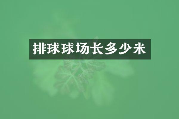 排球球场长多少米