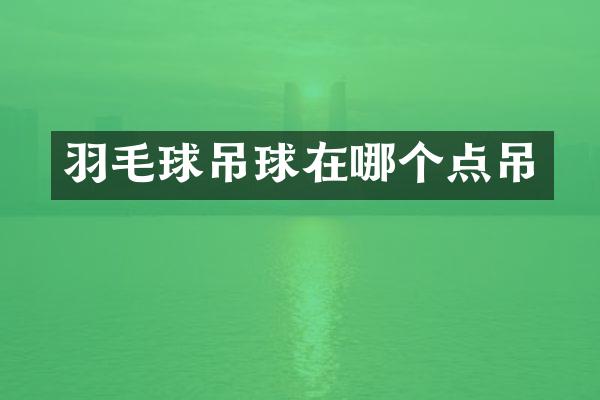 羽毛球吊球在哪个点吊