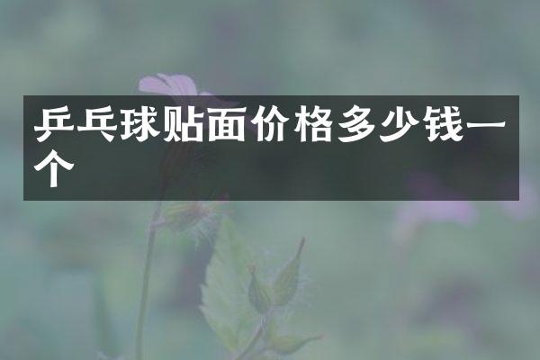 乒乓球贴面价格多少钱一个