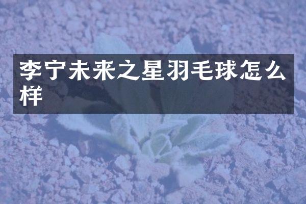 李宁未来之星羽毛球怎么样