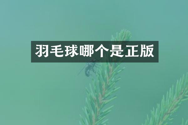 羽毛球哪个是正版
