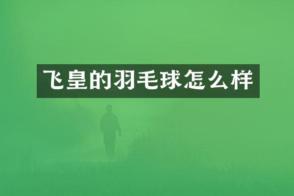 飞皇的羽毛球怎么样