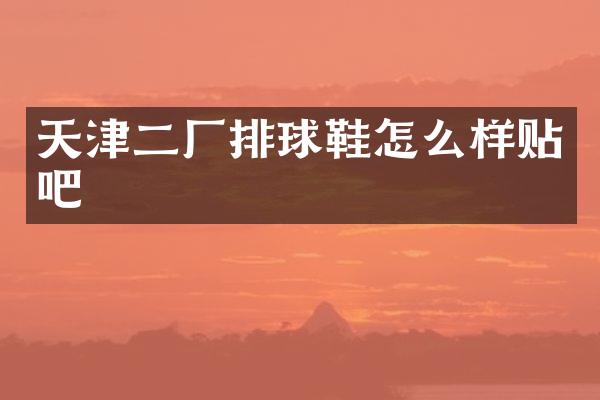 天津二厂排球鞋怎么样贴吧