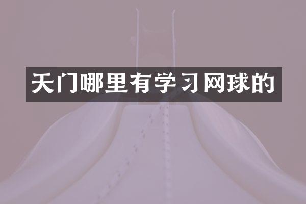 天门哪里有学习网球的