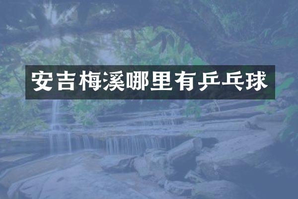安吉梅溪哪里有乒乓球