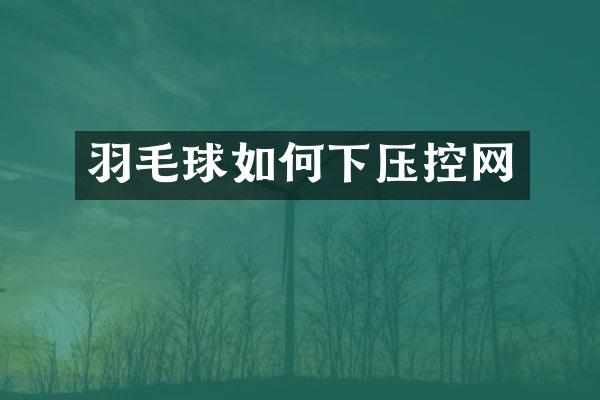 羽毛球如何下压控网