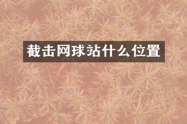 截击网球站什么位置