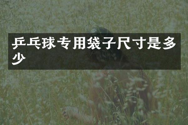 乒乓球专用袋子尺寸是多少