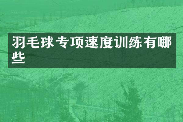 羽毛球专项速度训练有哪些