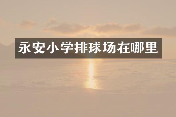 永安小学排球场在哪里