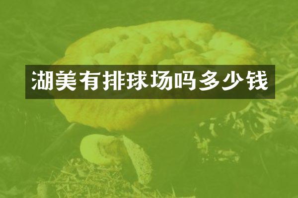 湖美有排球场吗多少钱
