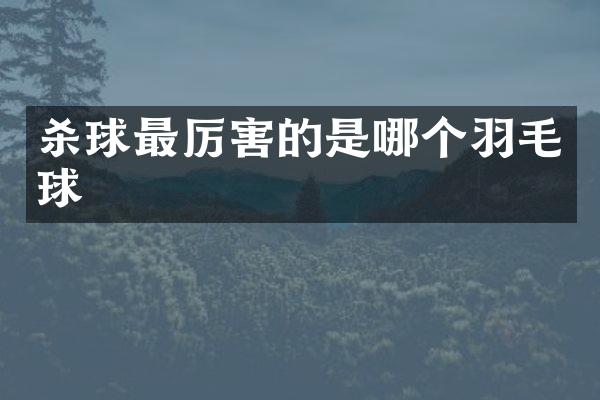 杀球最厉害的是哪个羽毛球