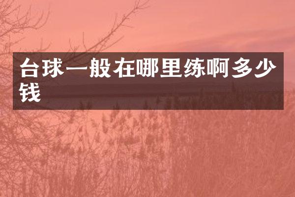 台球一般在哪里练啊多少钱