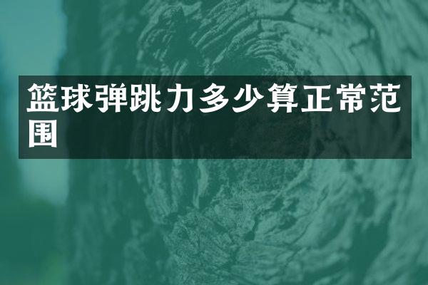 篮球弹跳力多少算正常范围